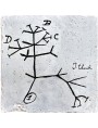 La piastrella in maiolica dell'albero del taccuino di Charles DARWIN