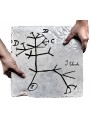 Charles Darwin Tree majolica Tile - human evolution - Darwinism