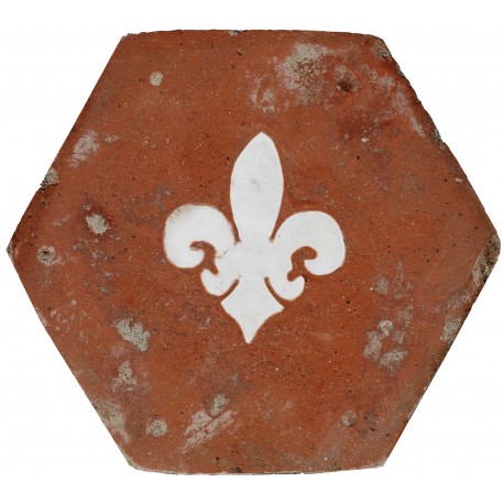 Terracotta Hexagon with marble lily