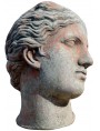 Testa di amazzone greco-romana