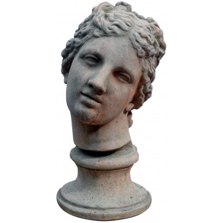 Terracotta head of the Venus de' Medici or Medici Venus