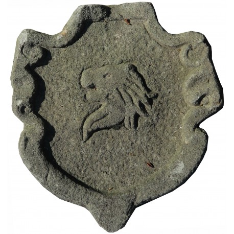 Stone coat of arms lion head