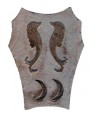 Stemma in pietra serena con delfini