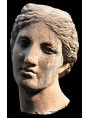 Testa di amazzone greco-romana