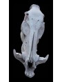 Terracotta warthog skull