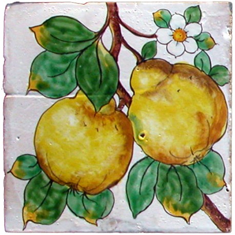 Maiolica tile with Quince fruits