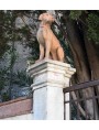 The two dogs of the Certosa di Calci (Pisa)