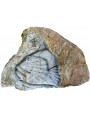 Stone basrelief - mediterranean redfish