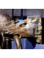 Teste romane in bronzo della prima nave di Nemi