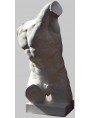 Borghese GLADIATOR Ith century BC repro in plaster