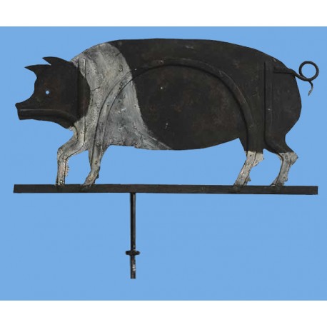 Siena cinta senese boar wind-wane forged-iron