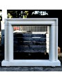 Salvator Rosa Fireplace - Limestone