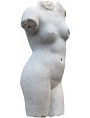 Roman Venus