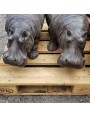 Terracotta hippopotamus
