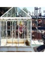 Wrought iron Greenhouse