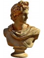 Apollo bust in terracotta "Apollo of the Belvedere"