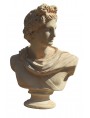Busto di Apollo in terracotta "Apollo del Belvedere"