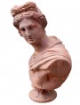 Busto di Apollo in terracotta "Apollo del Belvedere"