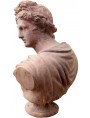 Apollo bust in terracotta "Apollo of the Belvedere"