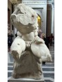 Original Torso from Vaticani Museums