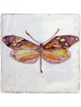 Hand made maiolica tile - Morpho luna (Butler, 1869)