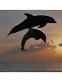 Coppia di Delfini che saltano banderuola in ferro