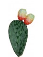 Prickly Pears - Shovel Medium size with two P.P.