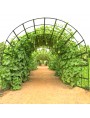 large all-round arch with checked designed for pumpkins