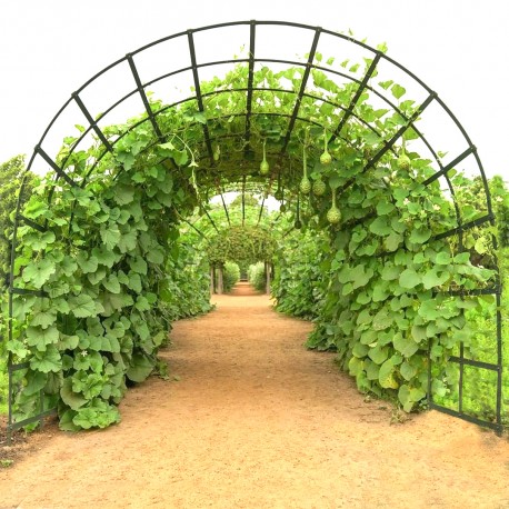 large all-round arch with checked designed for pumpkins