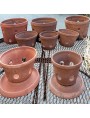 Terracotta Victorian Vases for Orchids - three sizes Large Medium Small