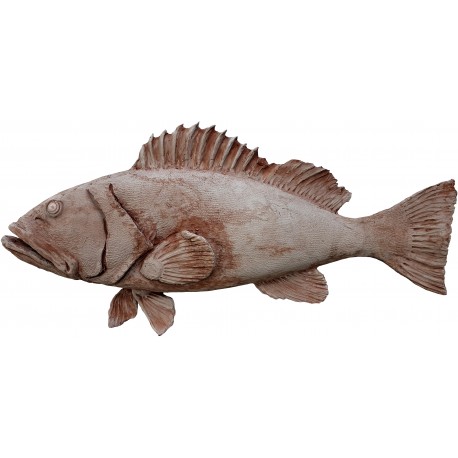 Large Mediterranean grouper in terracotta Epinephelus marginatus
