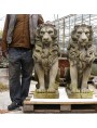 Grandi leoni in pietra Veneziani scolpiti a mano