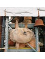 Terracotta Ocean Sunfish of our production