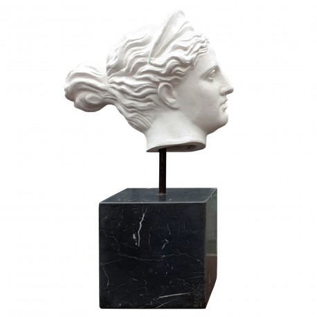 Testa della Diana di Versailles - terracotta bianca
