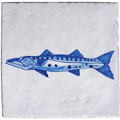 Serie pesci delft barracuda