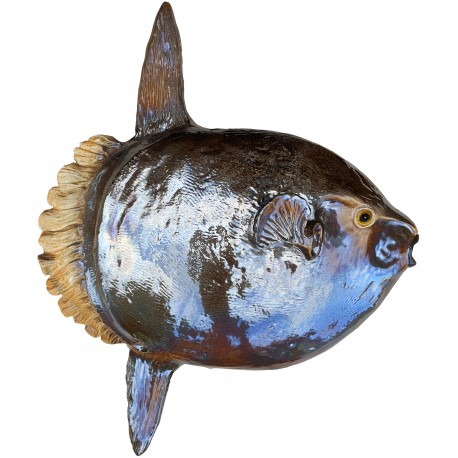 Oceanic Moonfish (Mola Mola)