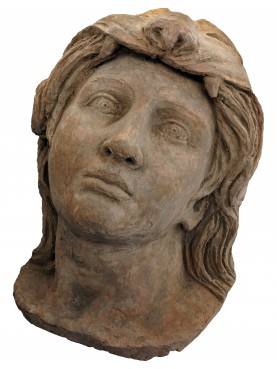 Young Hercules with lion skin in terracotta