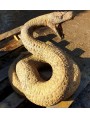 Large terracotta viper snake