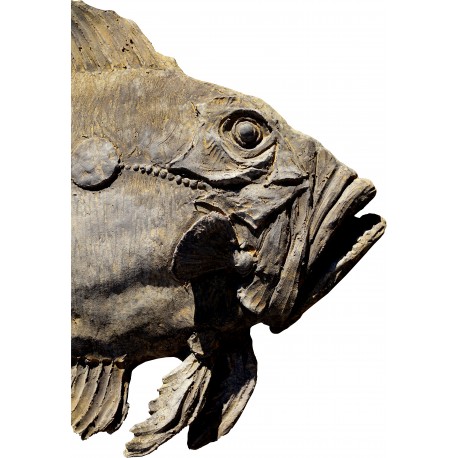Pesce San Pietro in terracotta - modellato a mano