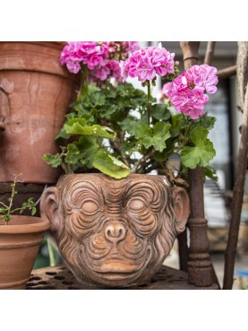 Terracotta zoomorphic cachepot - Monkey