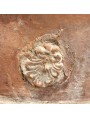 Conca Toscana Ø81cm antica in terracotta