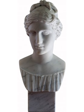 Venere Medici - head in white Carrara marble