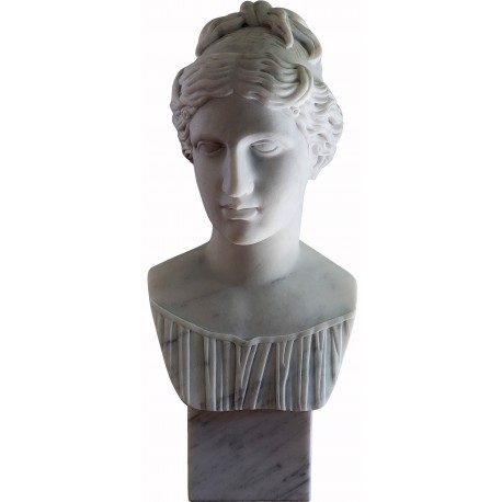 Venere Medici - head in white Carrara marble