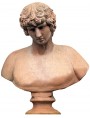 Antinoo "Farnese" del MAN di Napoli - nostra riproduzione
