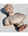Antinoo "Farnese" del MAN di Napoli - nostra riproduzione