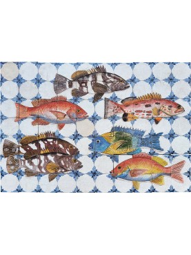 Grouper and snapper panel