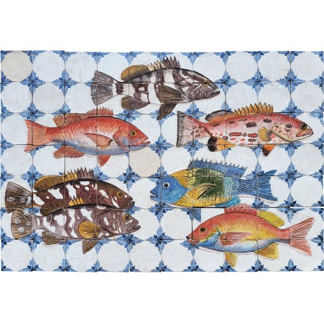 Grouper and snapper panel