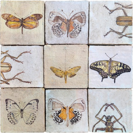 panel of 9 tiles with BUTTERFLIES AND VARIOUS INSECTS