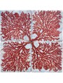 Piastrelle Gorgonia Rossa