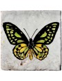 Swallowtail Butterfly, Papilio sp. majolica tile